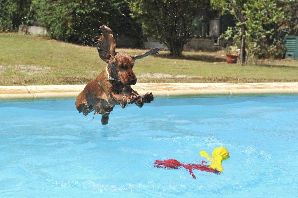 - How Solar Pool Heating Works